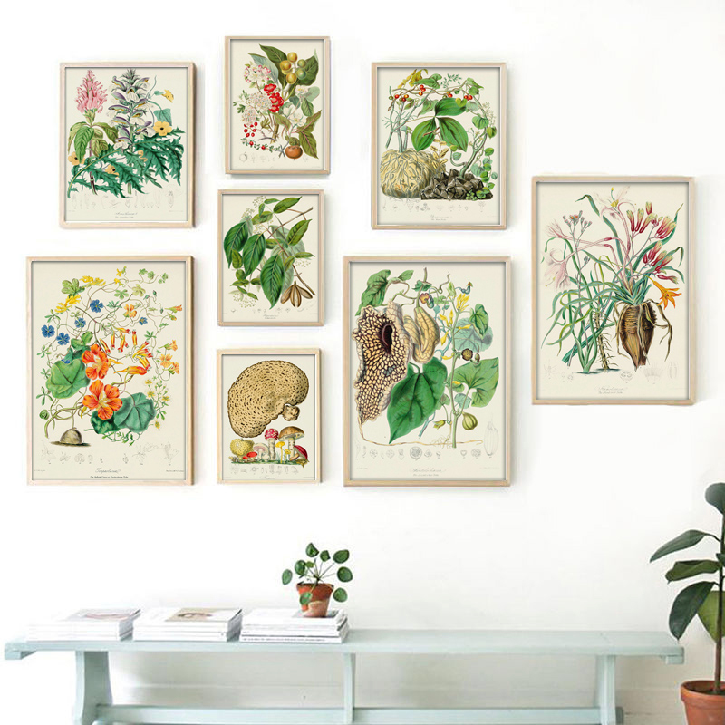 Vintage Collectible Posters - Botanische Sammlung Vintage Poster Drucke Botanische