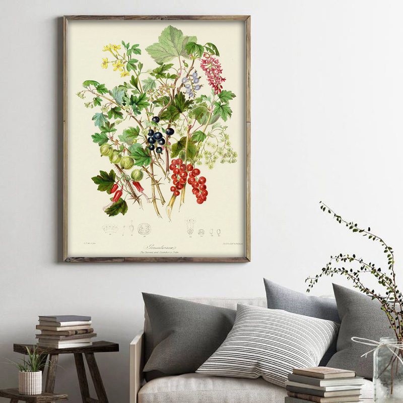 Botanische Sammlung Vintage Po – Vintage Collectible Posters Bewertung und Preis